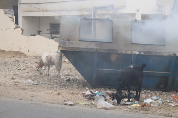 ravnanje z odpadki po indijsko
