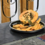 domača papaja